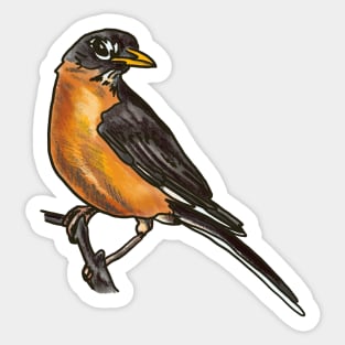 American Robin Sticker